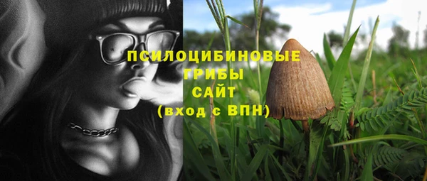 мет Ладушкин