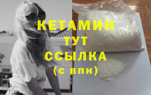 прущие грибы Лабытнанги