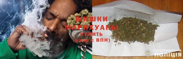 прущие грибы Лабытнанги