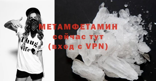 прущие грибы Лабытнанги