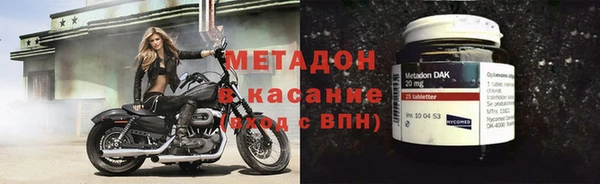 прущие грибы Лабытнанги