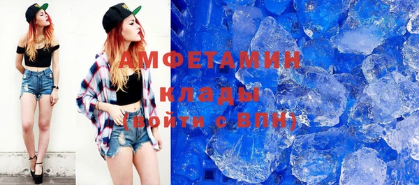 прущие грибы Лабытнанги