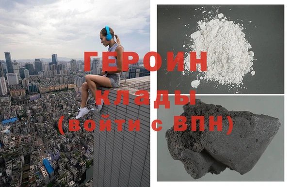 прущие грибы Лабытнанги