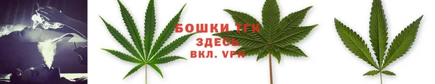 молекула духа Куйбышев