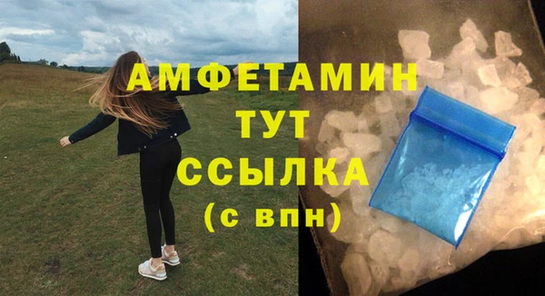 прущие грибы Лабытнанги
