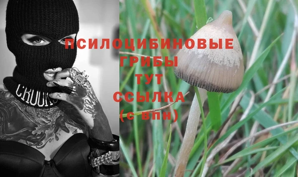 мет Ладушкин