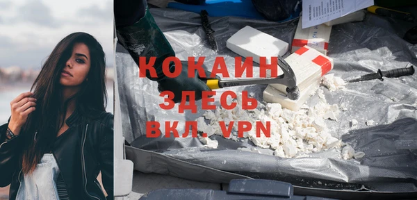 мет Ладушкин