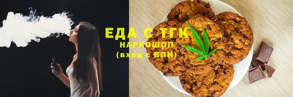 прущие грибы Лабытнанги