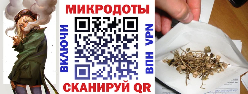 Купить  Болгар  Псилоцибиновые грибы Cubensis 